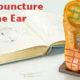 Plastic ear and textbook