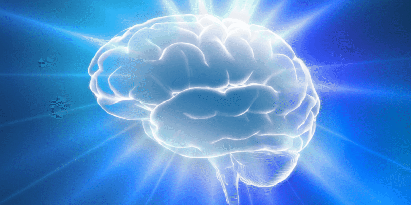 acupuncture and the brain
