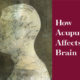 How Acupuncture affects the brain featured image