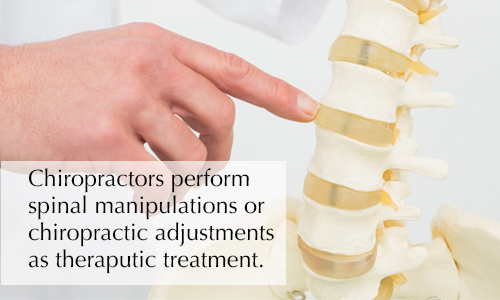 Image of hand pointing to the joints of the spinal column